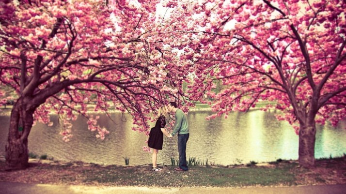spring-blossom-love-kiss-1024x576