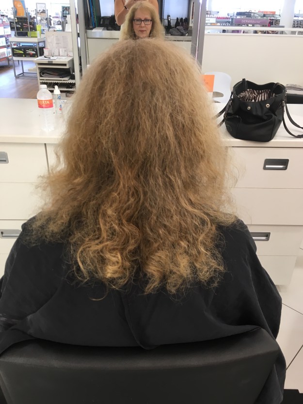 Haircut 6-24-16 Before back